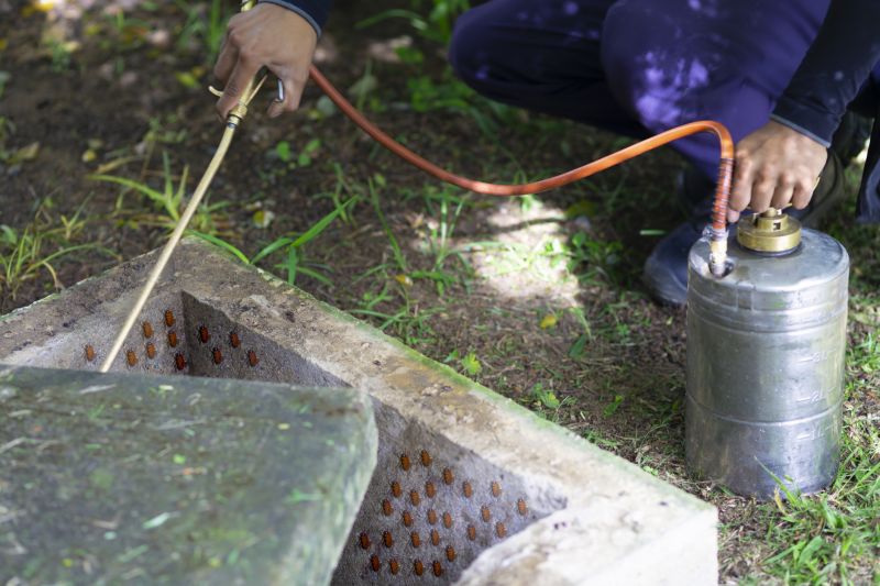 Roach Fumigation in Fredericksburg, VA