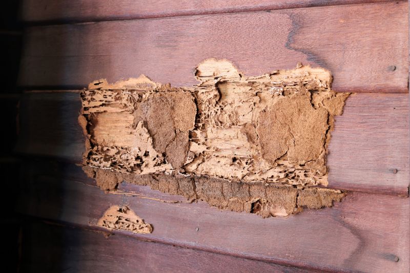Wood Destroying Inspect Inspection