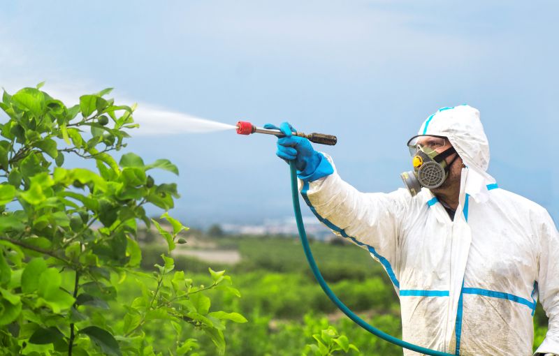Pest Fumigation Service in Clarksville, TN