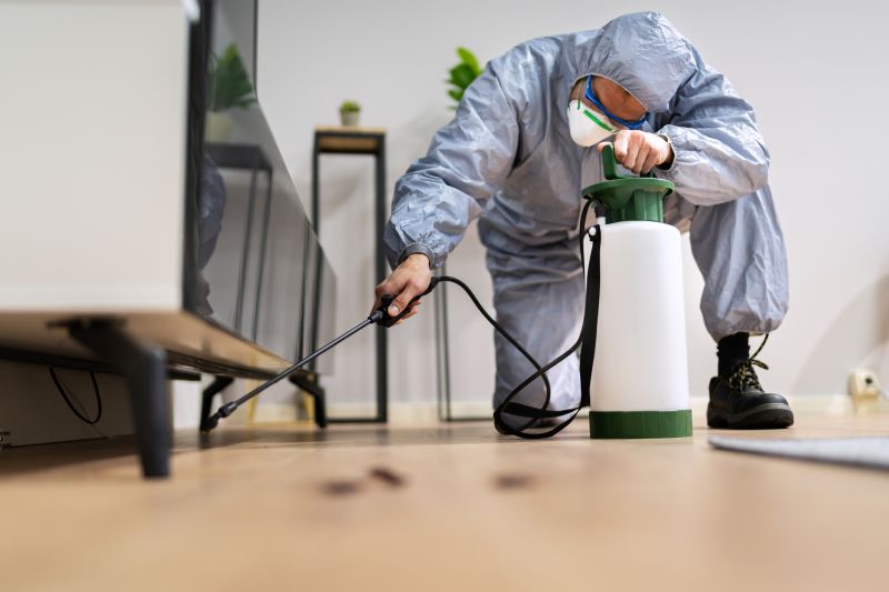 Spider Fumigation Service in San Jose, CA