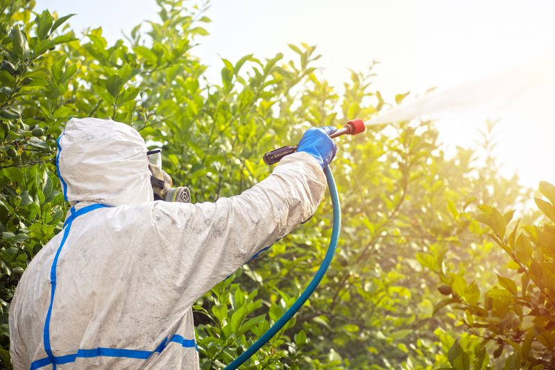 Spider Fumigation Service in Coeur D Alene, ID