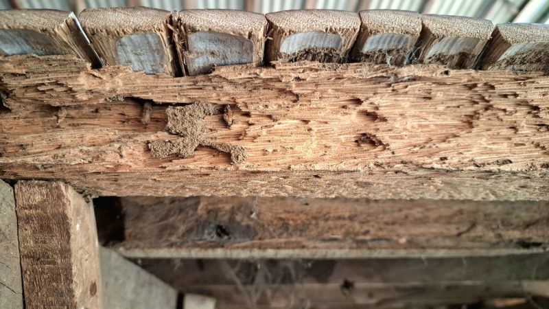 Wood Destroying Inspect Inspection